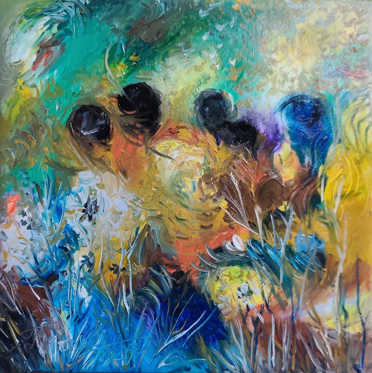 pictura 13 pictura 13